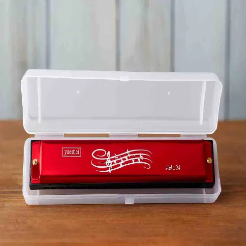 Harmonica Mouth Organ