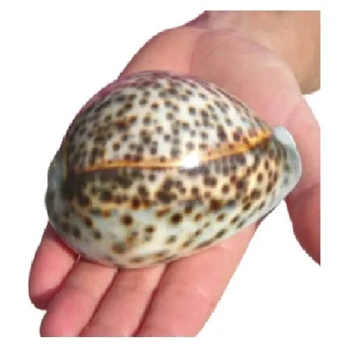 related link