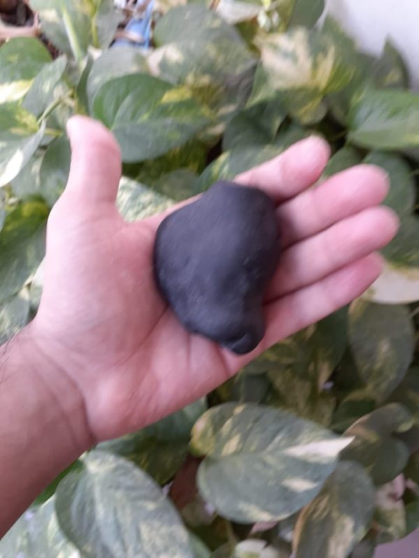 Shaligram Shila | শালগ্রাম শিল