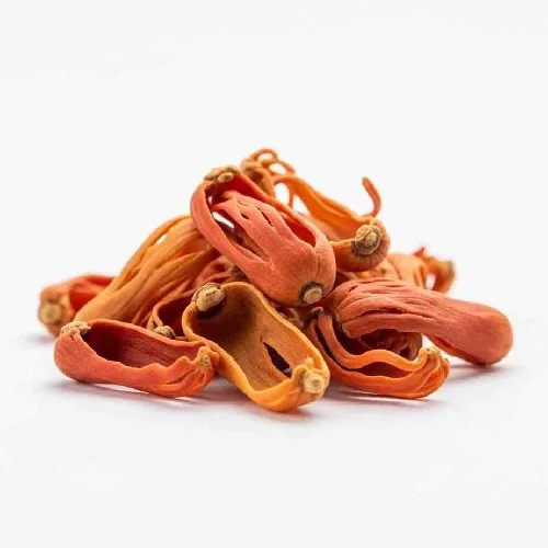 Jayatri Mace - জায়ত্রী