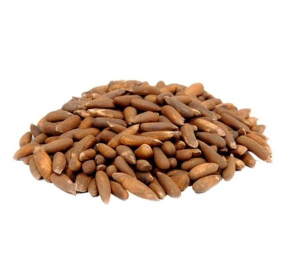Pine Nuts | চিলগোজা বাদাম